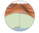 <p>Encaje</p>